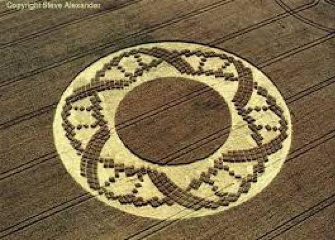 Crooked Soley Crop Circle 504 792